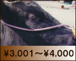 \3,001`4,000