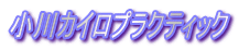����J�C���v���N�e�B�b�N