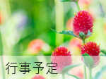 今年度の行事予定
