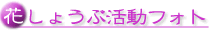 Ԃ傤ԊtHg