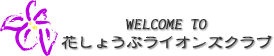 Ԃ傤ԃCIYNu