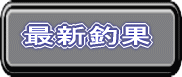 最新釣果