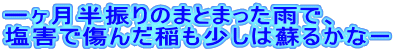 ꃖÛ܂Ƃ܂JŁA Qŏ񂾈͑h邩ȁ[ 