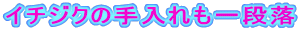 C`WN̎i 