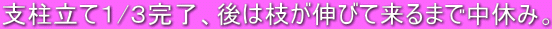 xĂP/RA͎}Lтė܂Œx݁B 