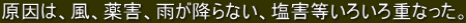 ́AAQAJ~ȂAQ낢dȂB 