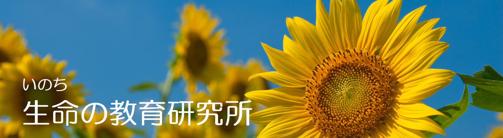 いのちの教育