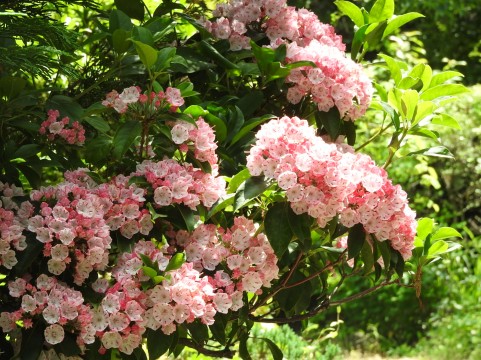 �C���[�W�ʐ^