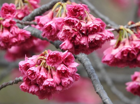 �C���[�W�ʐ^