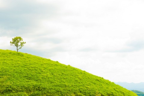 �C���[�W�ʐ^