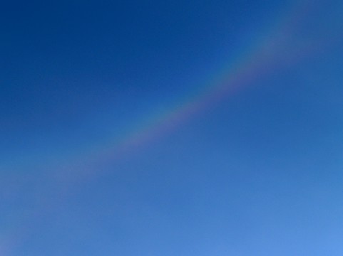 �C���[�W�ʐ^