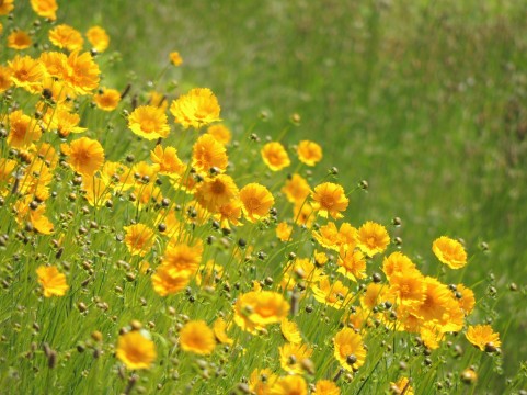 �C���[�W�ʐ^