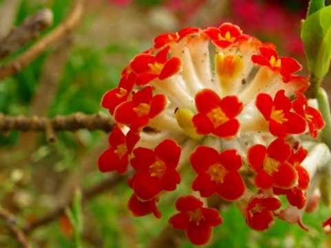 �C���[�W�ʐ^