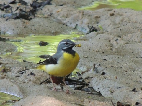 �C���[�W�ʐ^