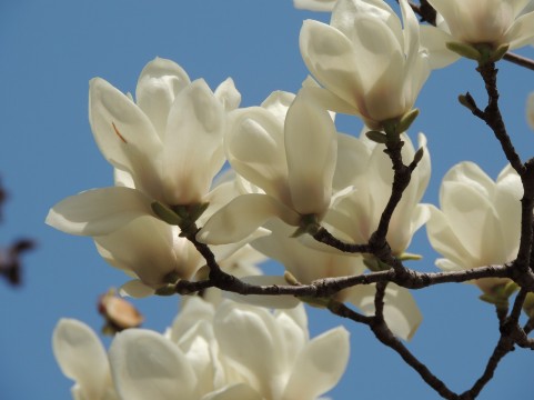 �C���[�W�ʐ^