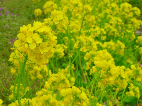 �C���[�W�ʐ^