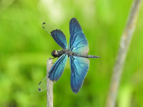 �C���[�W�ʐ^