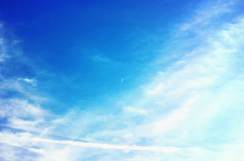 �C���[�W�ʐ^