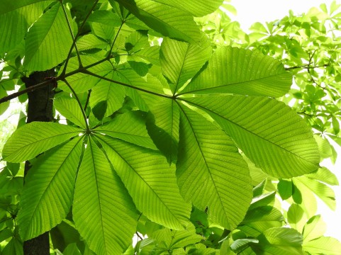 �C���[�W�ʐ^