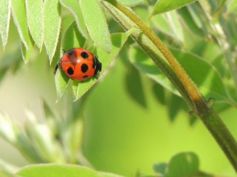 �C���[�W�ʐ^