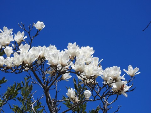 �C���[�W�ʐ^