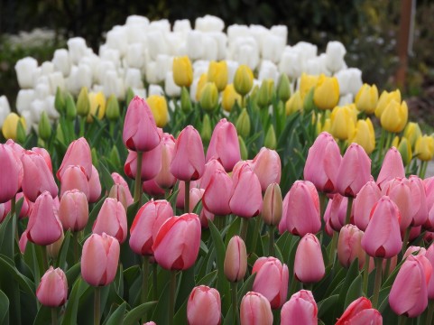 �C���[�W�ʐ^