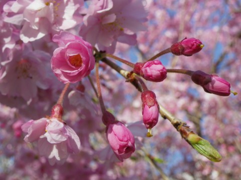 �C���[�W�ʐ^