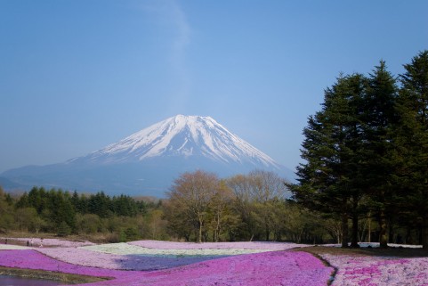 �C���[�W�ʐ^