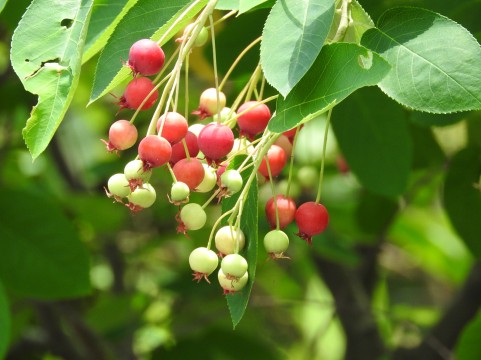 �C���[�W�ʐ^