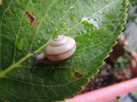 �C���[�W�ʐ^