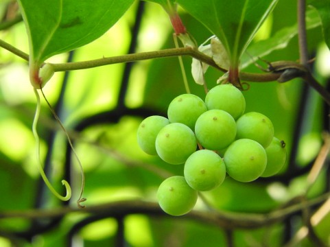 �C���[�W�ʐ^