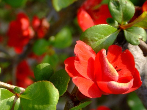 �C���[�W�ʐ^