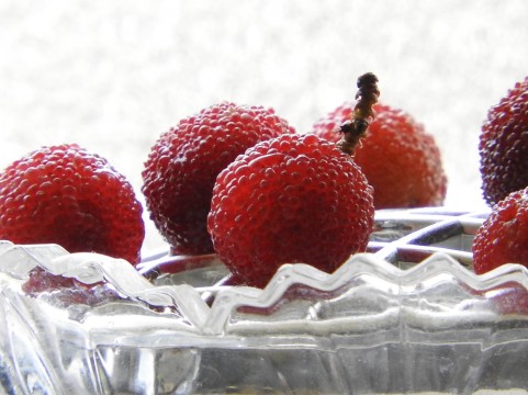 �C���[�W�ʐ^