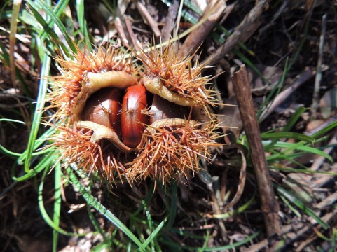 �C���[�W�ʐ^