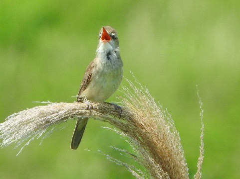 �C���[�W�ʐ^