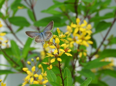 �C���[�W�ʐ^