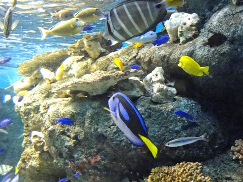 �C���[�W�ʐ^