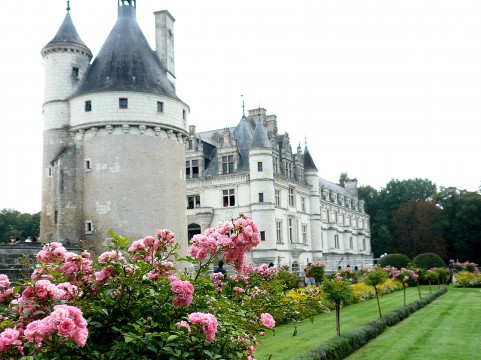 �C���[�W�ʐ^