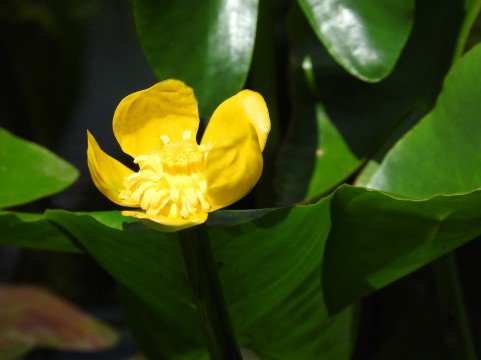 �C���[�W�ʐ^