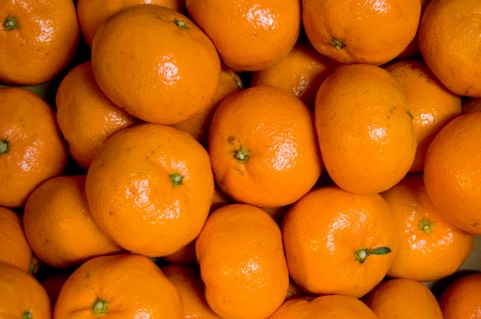 �C���[�W�ʐ^