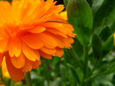 �C���[�W�ʐ^