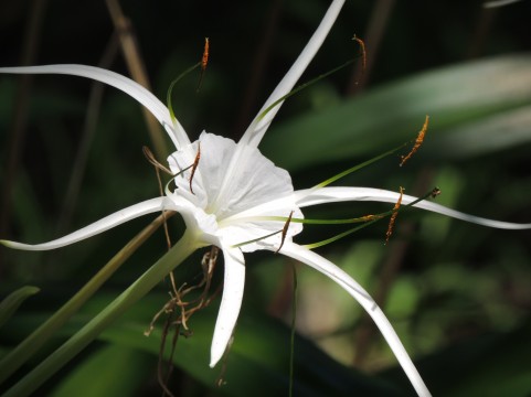 �C���[�W�ʐ^