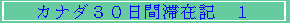 Ji_ROԑ؍݋L@P