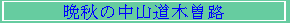 ӏH̒Rؑ]H