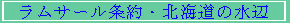 T[EkC̐
