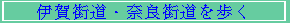 ɉXEޗǊX