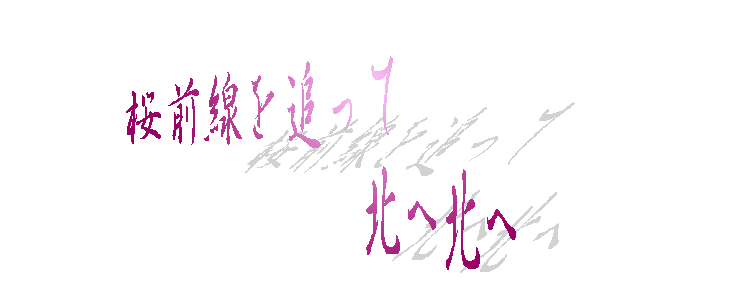 Oǂ
@@@@@@@@@k֖k