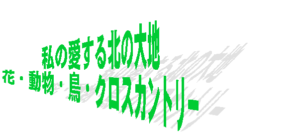̈k̑n
ԁEEENXJg[
