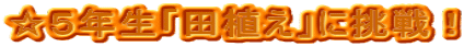 TNucAvɒI