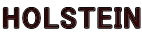 HOLSTEIN